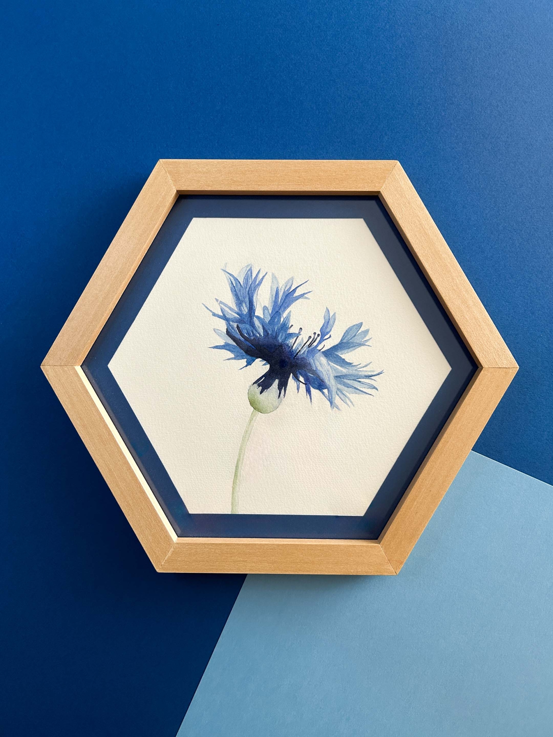 Flor de aciano 1 Flor de aciano