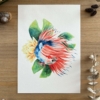 ilustración pez betta rojo y azul