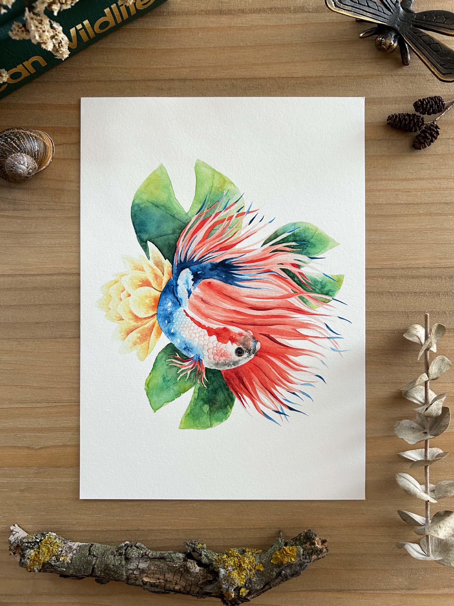 Pez en estanque Print 2 ilustración pez betta rojo y azul