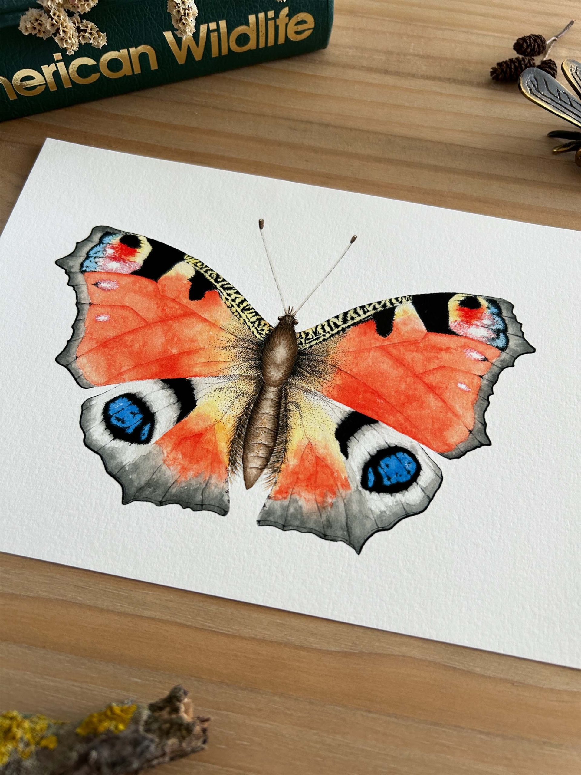 Mariposa pavo real Print 4 Impresión de arte de insecto