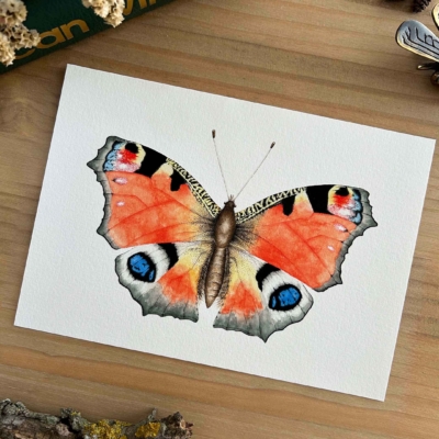 Mariposa pavo real Print