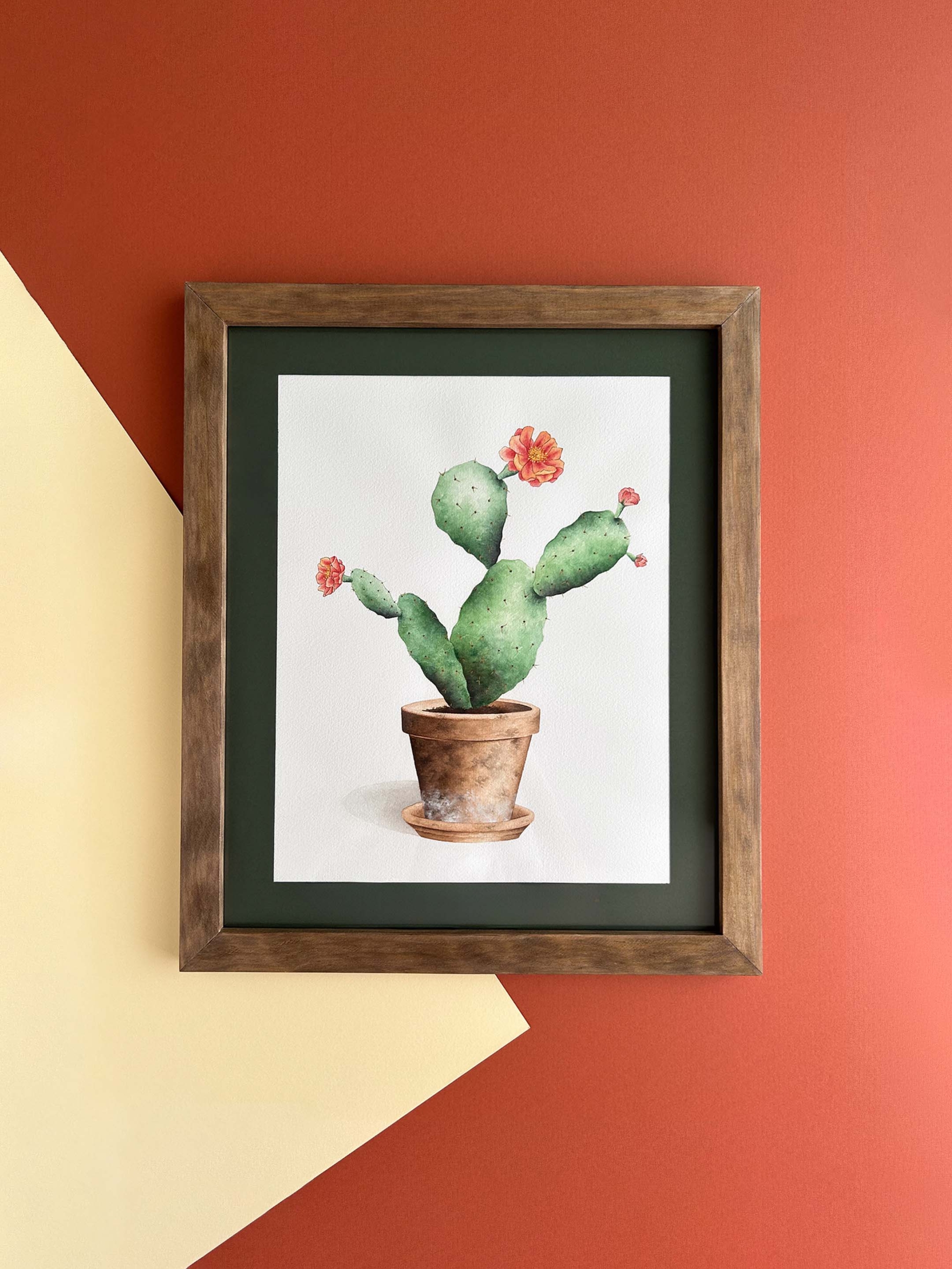 Cactus chumbera 1 cactus chumbera