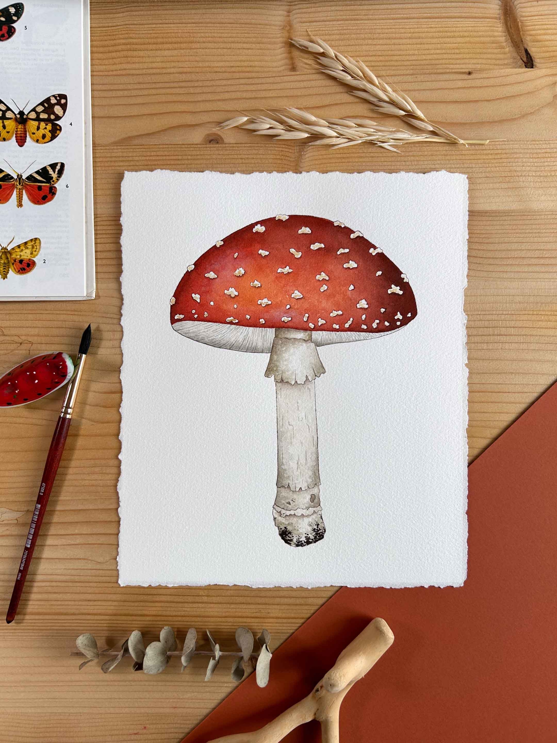 Amanita Muscaria original 1 pintura en acuarela de amanita muscaria original