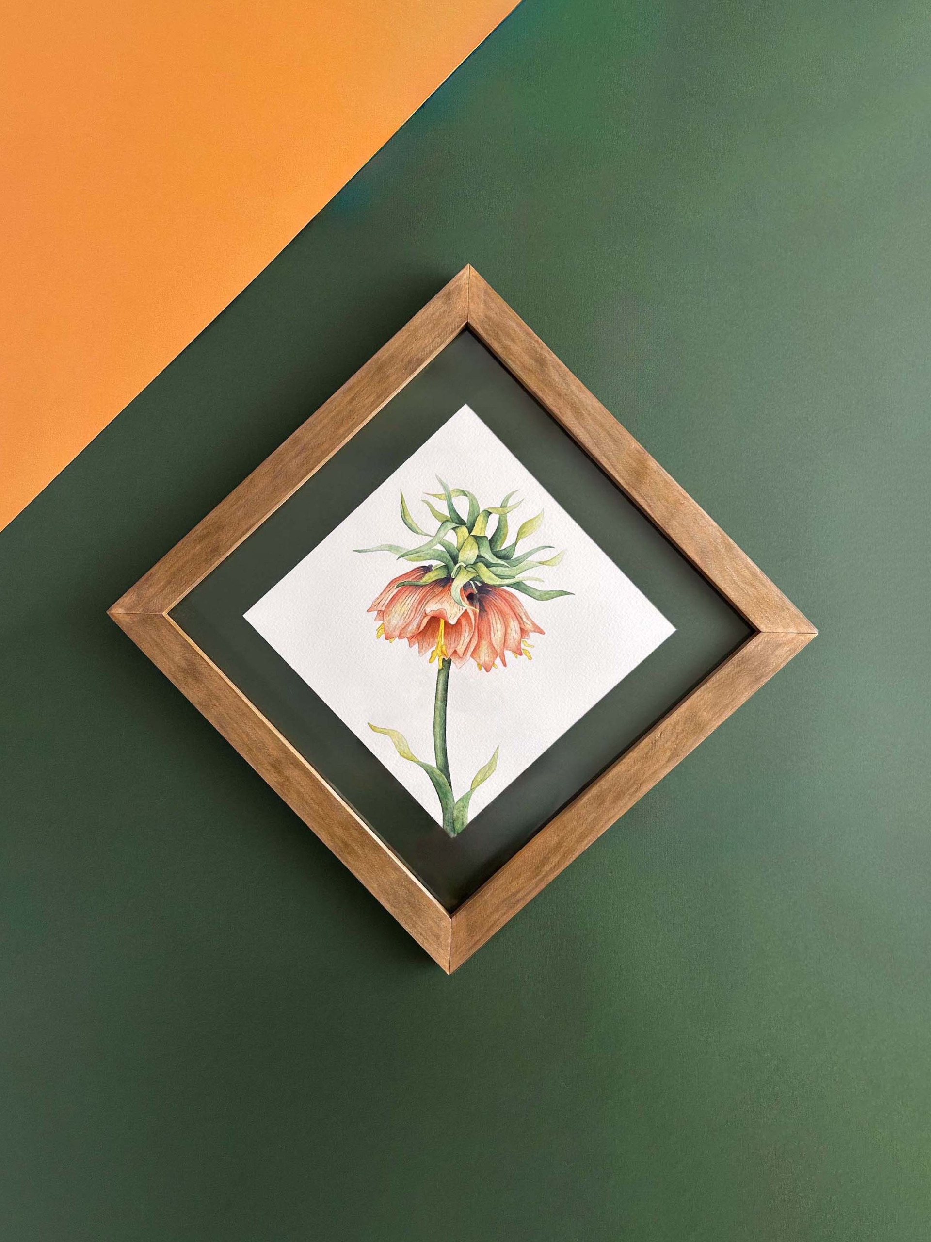 Flor corona imperial 1 flor corona imperial