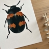 arte de insectos con escarabajo