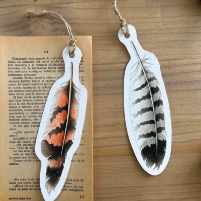 Plumas búho y busardo