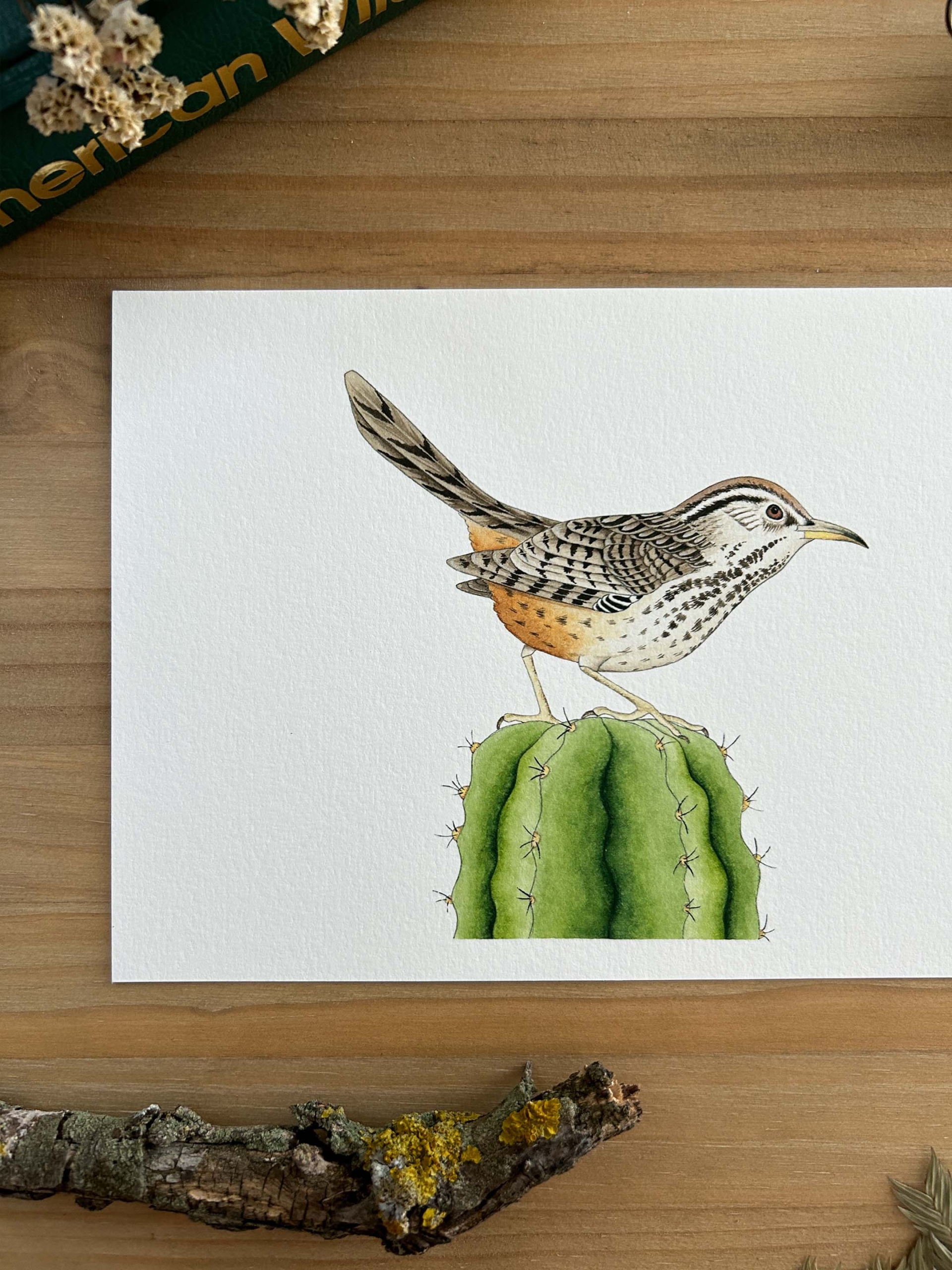 Matraca del desierto Print 3 ilustración de pájaro matraca del desierto