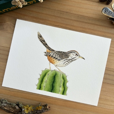 Matraca del desierto Print