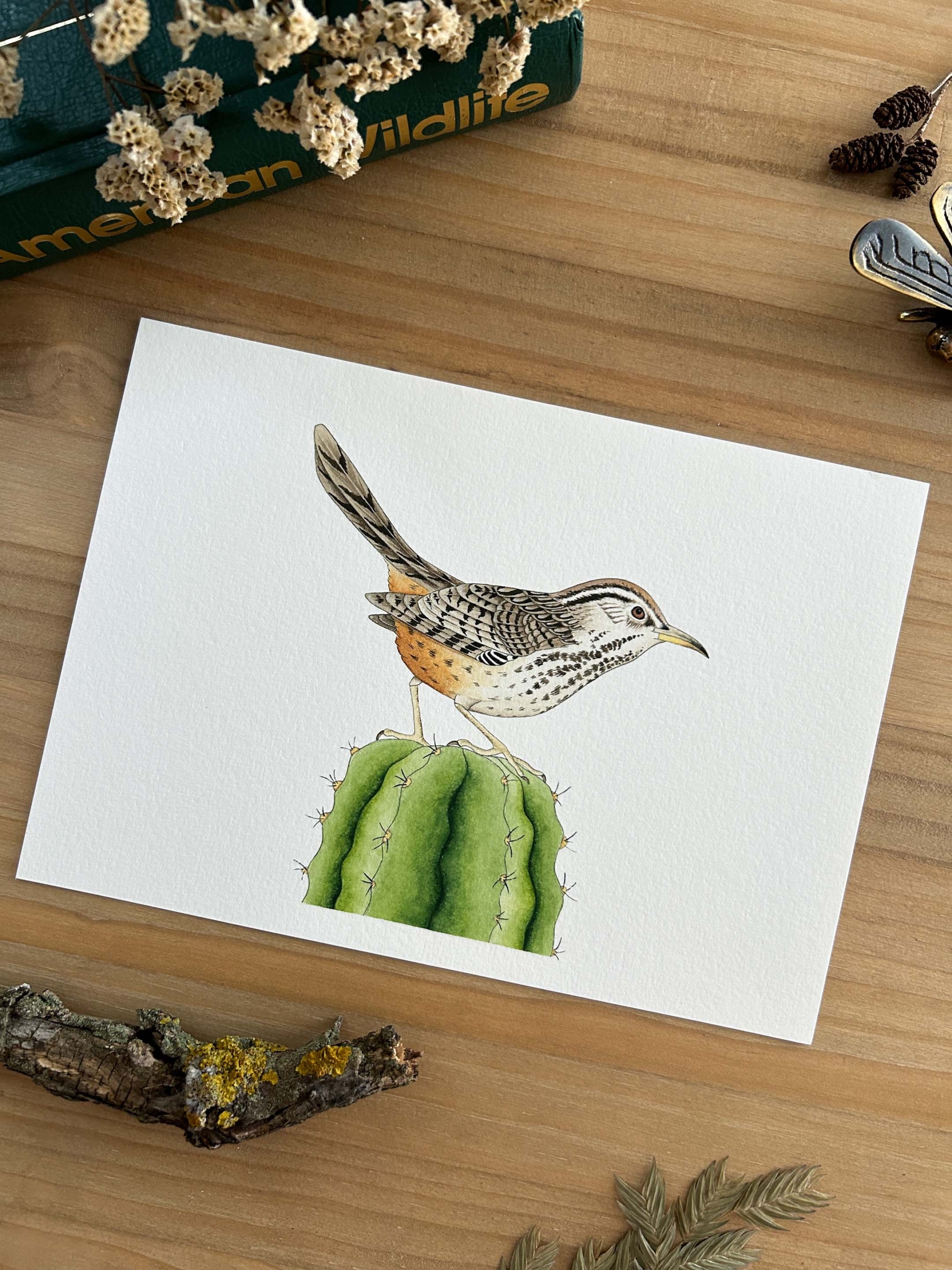 Matraca del desierto Print 1 Matraca del desierto Print