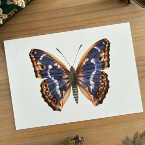 Mariposa tornasolada print