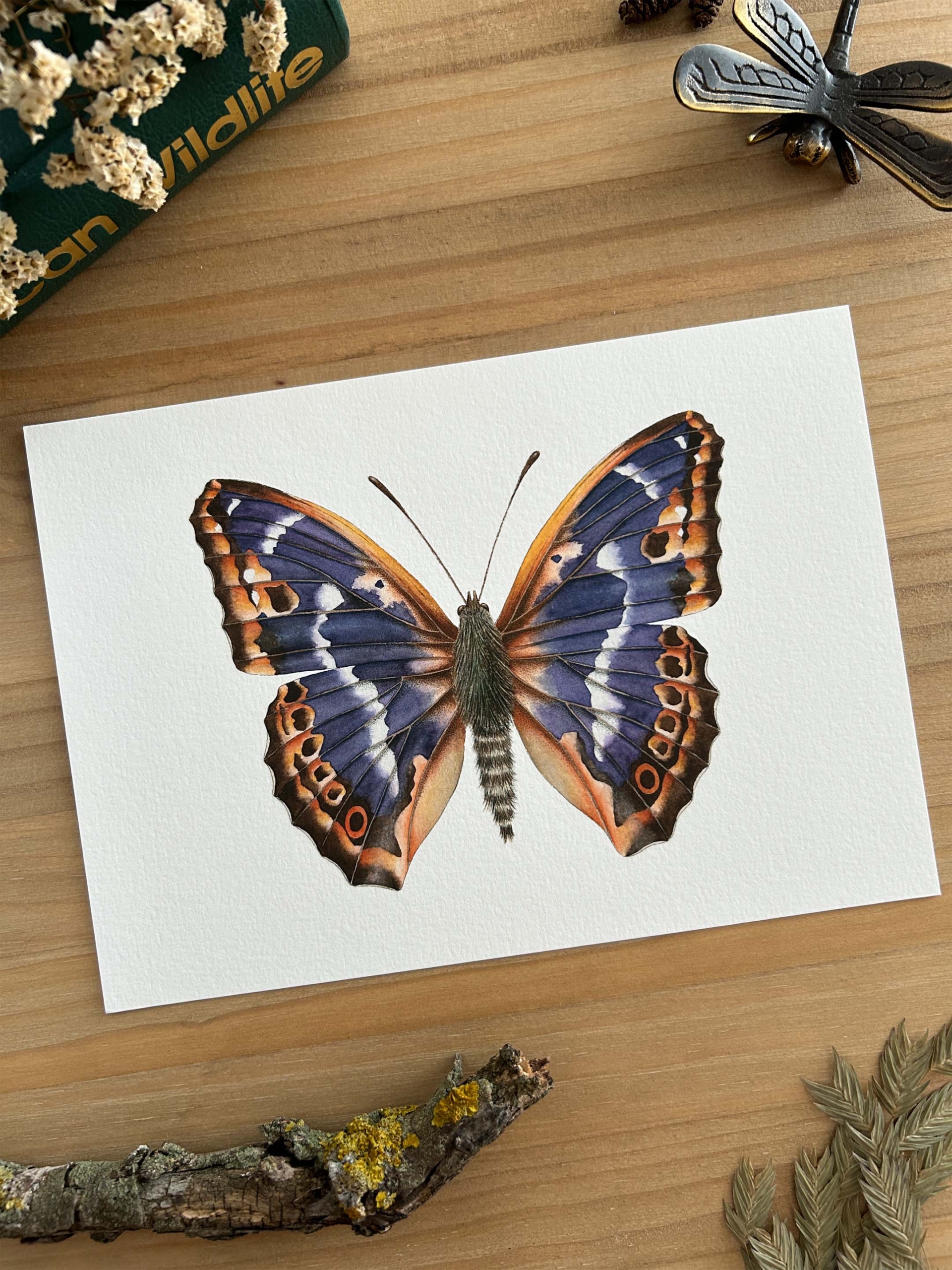 Mariposa tornasolada Print 1 Mariposa tornasolada print