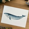 Ballena azul Print 7 Ballena azul Print