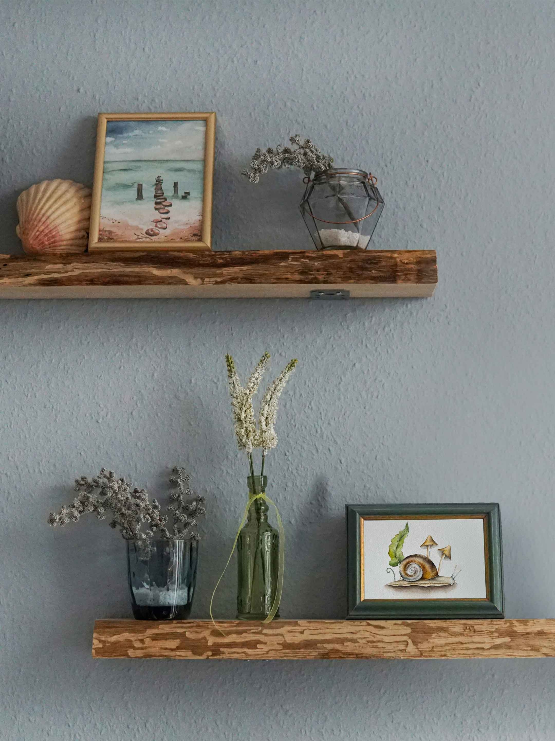 Caracol y setas 3 original watercolor snail and mushroom 6 scaled