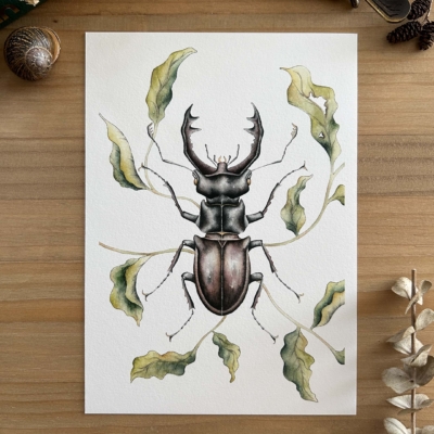 Escarabajo ciervo Print