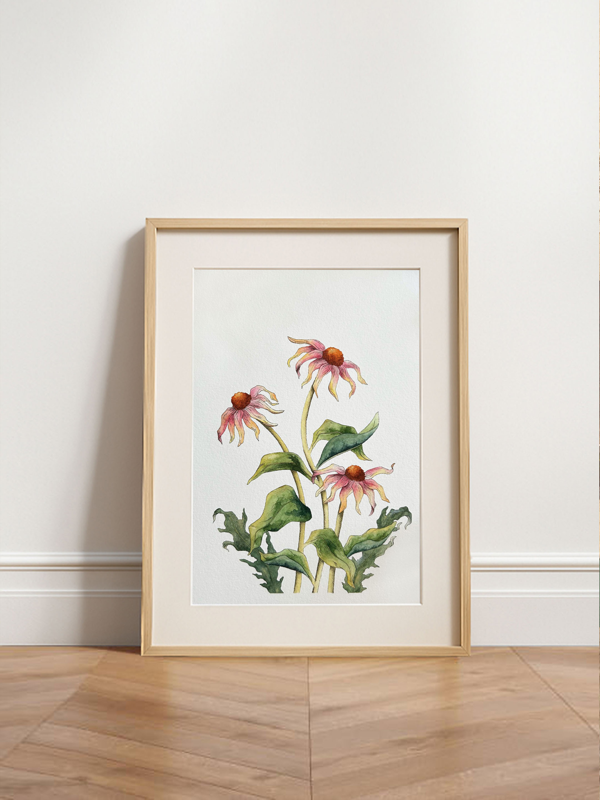 Flores equináceas Print 3 lámina decorativa de flores