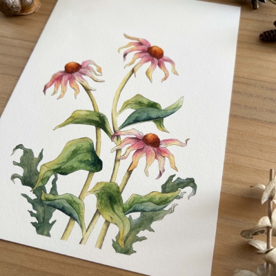 flores equináceas print