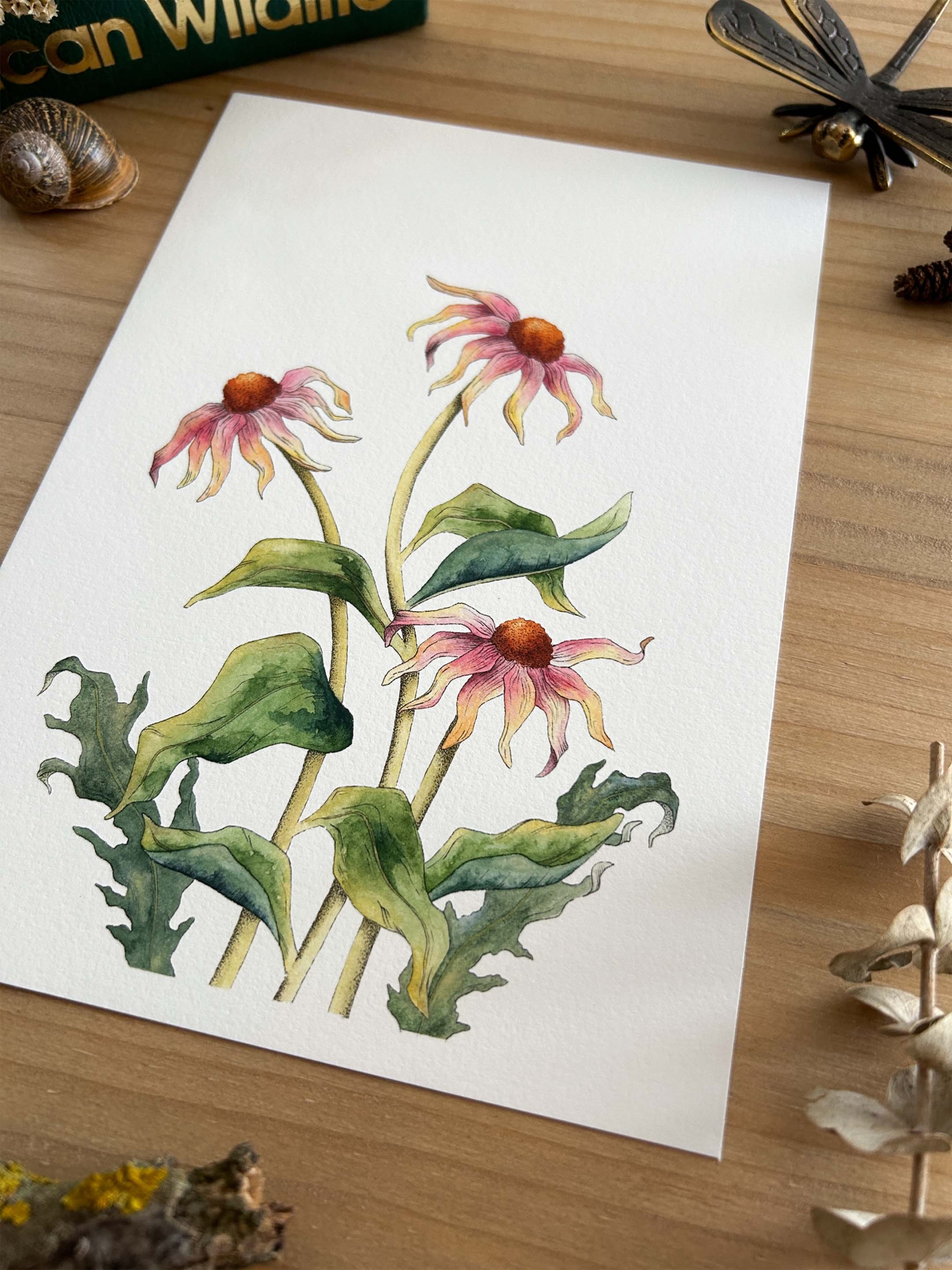 Flores equináceas Print 1 flores equináceas print