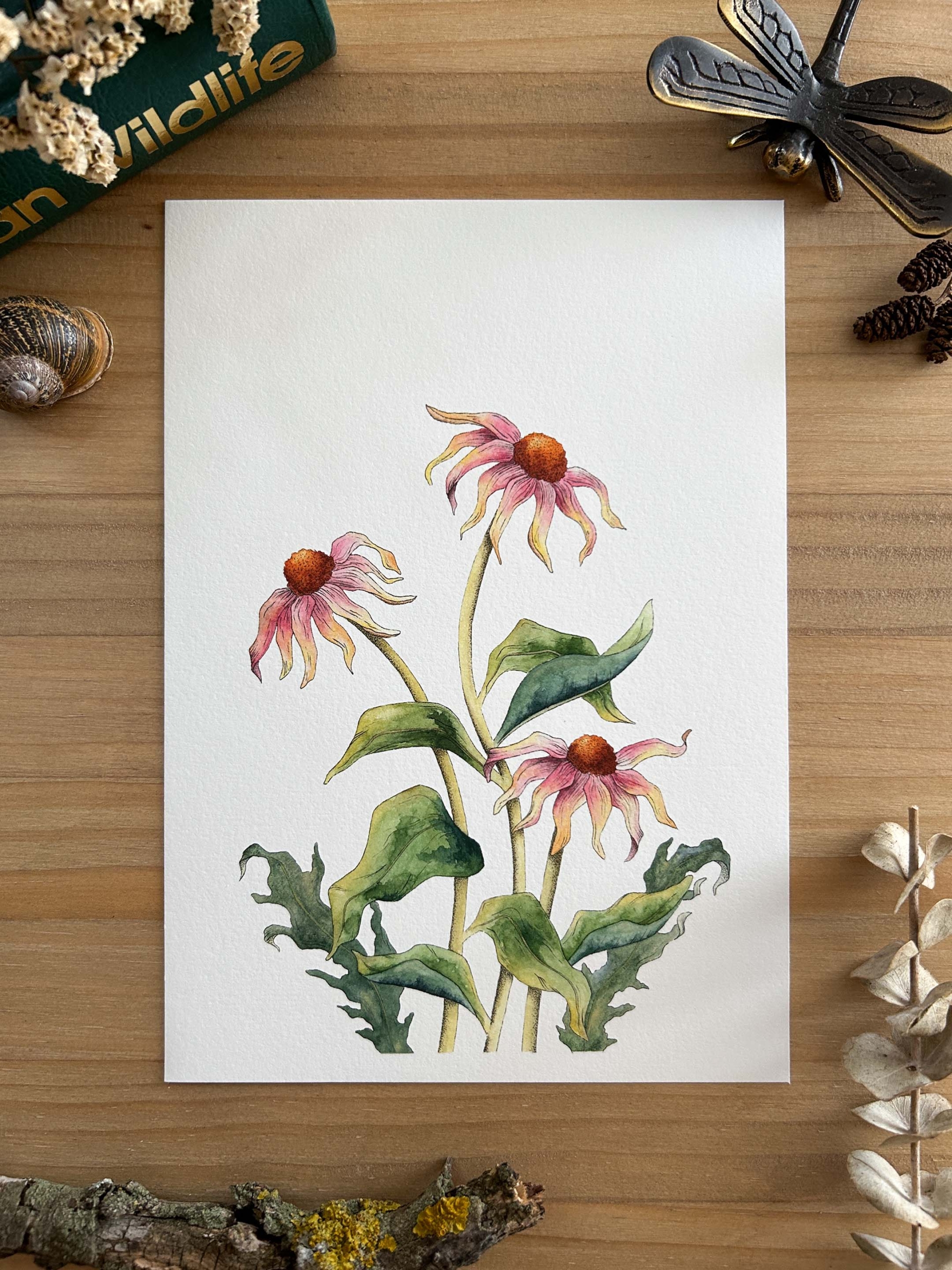 Flores equináceas Print 4 Pintura de flores