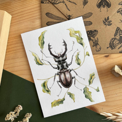Tarjeta escarabajo ciervo