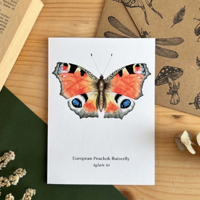 Mariposa roja aglais