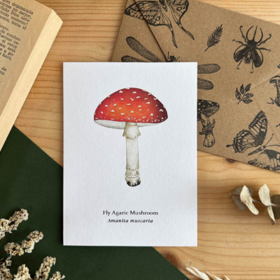 Tarjeta seta amanita