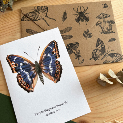 tarjeta mariposa morada