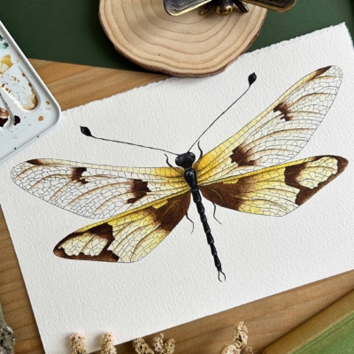 Ascalaphus macaronius