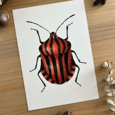 escarabajo rayado print