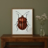 decoración con arte de insectos