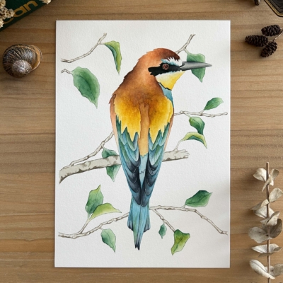 Pájaro abejaruco print