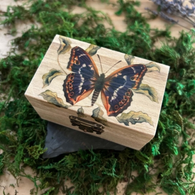 caja mariposa morada