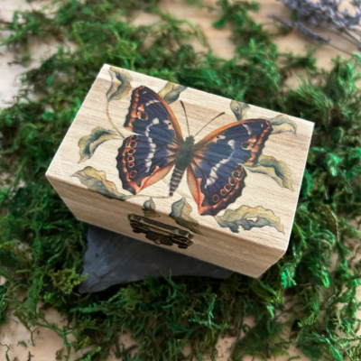 caja mariposa morada