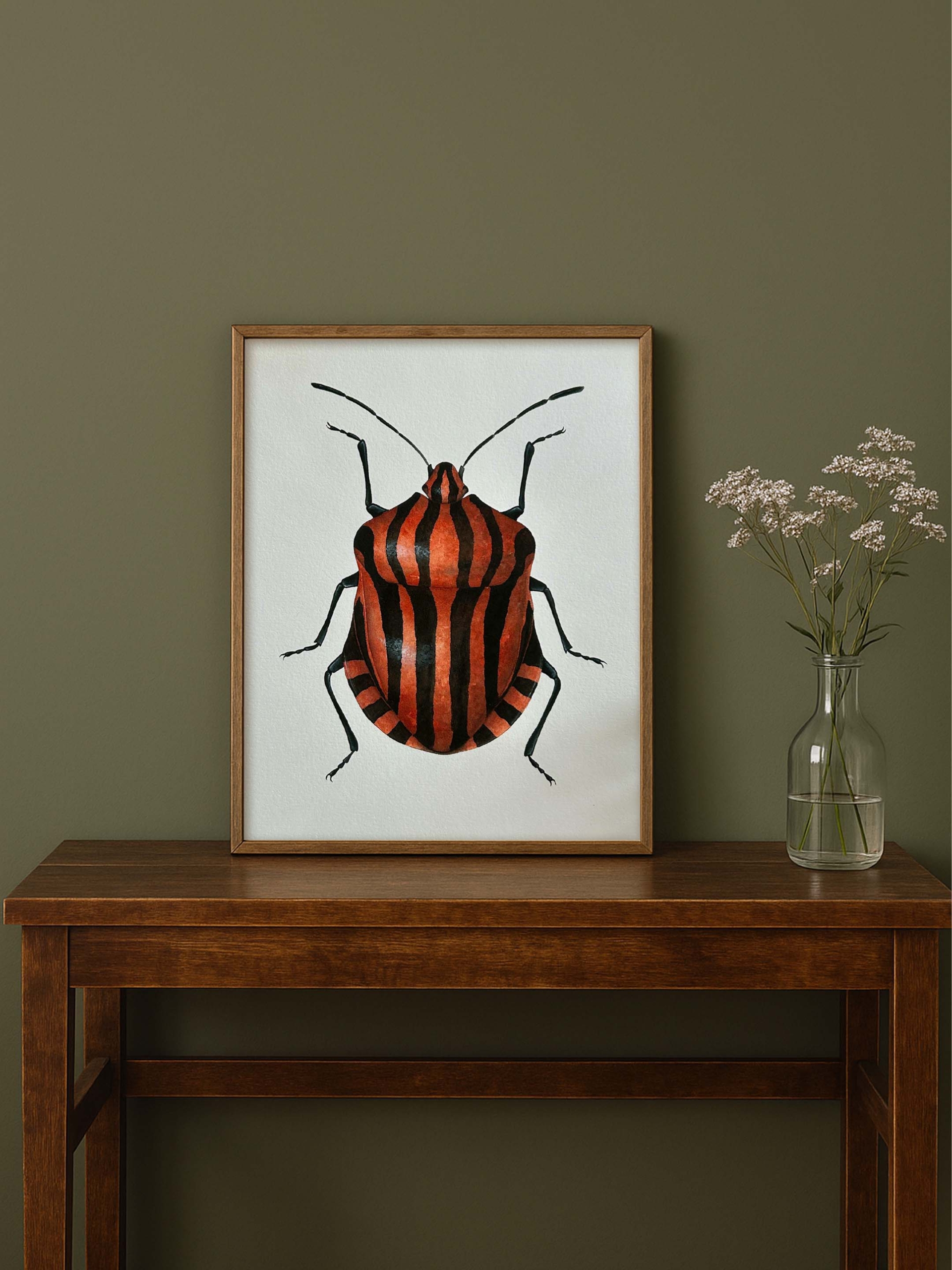 Escarabajo rayado 2 escarabajo rojo y negro