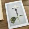 tarjeta de felicitación botánica