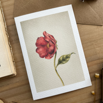 tarjeta de felicitación flor rosa gallica