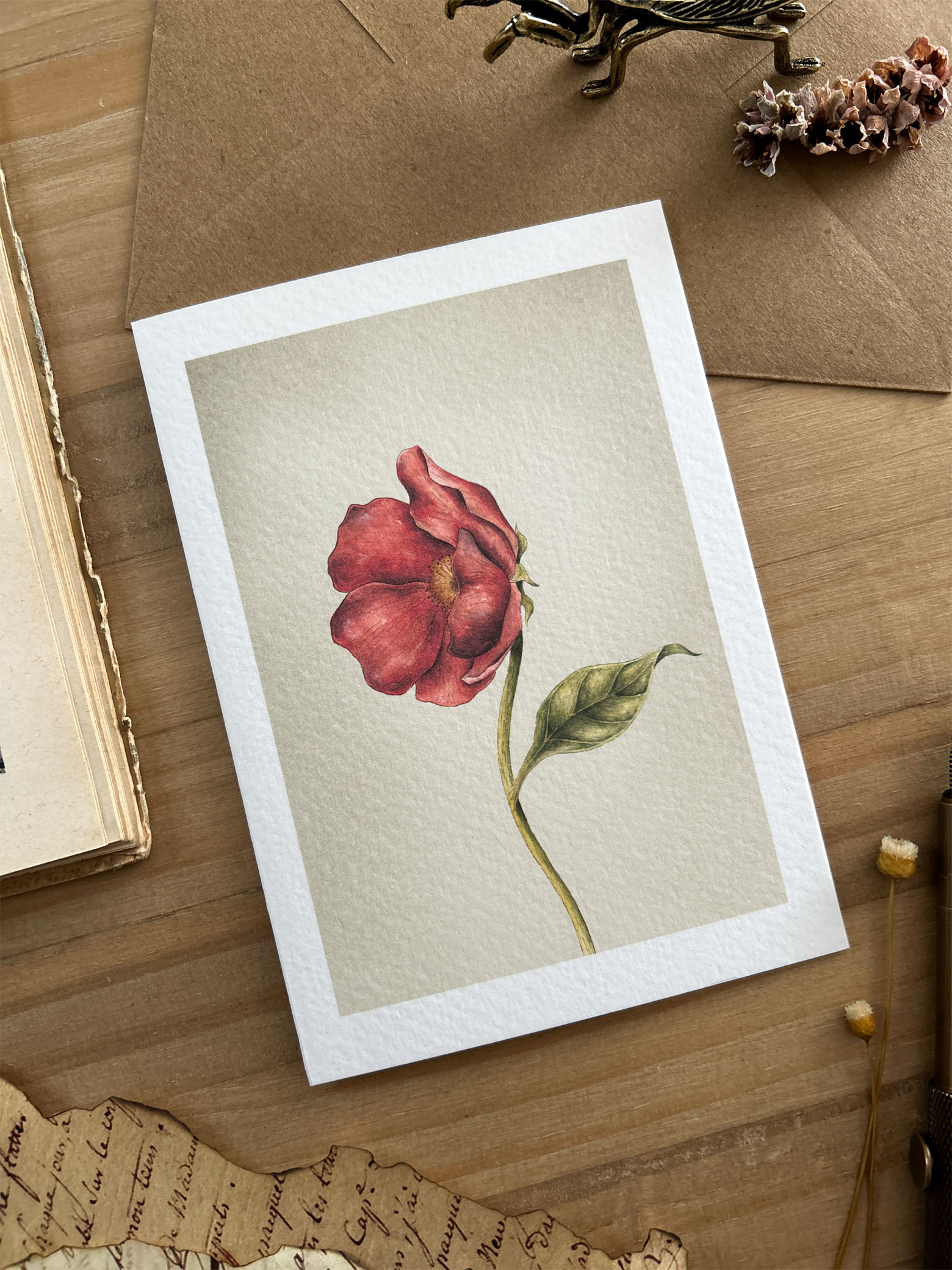 Flor rosa gallica 1 tarjeta de felicitación flor rosa gallica