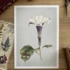 Lámina decorativa flor