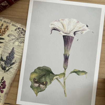 Flor datura Print