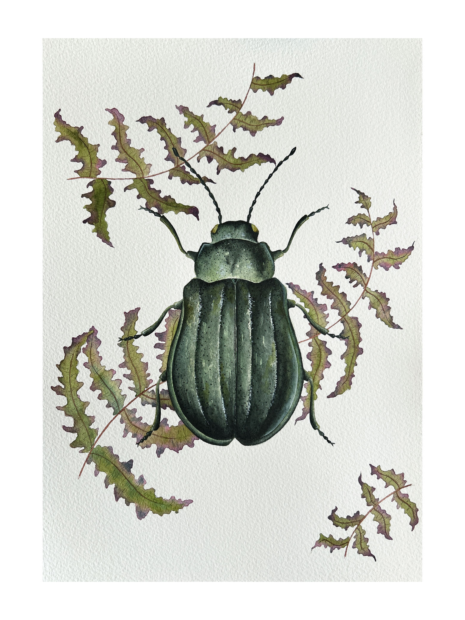 arte de escarabajo verde