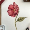 pintura de flor