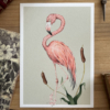 Flamenco Print
