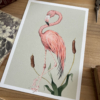 Ilustración de flamenco