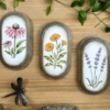 Cuadro de plantas medicinales