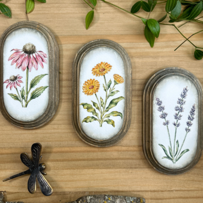 Cuadro de plantas medicinales