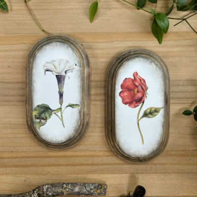 cuadro de rosa y datura