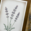 arte de flores salvajes